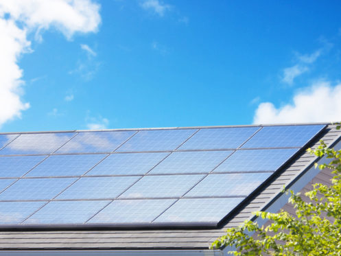 Air Purifiers and Energy-Efficiency: Are They Worth the Investment