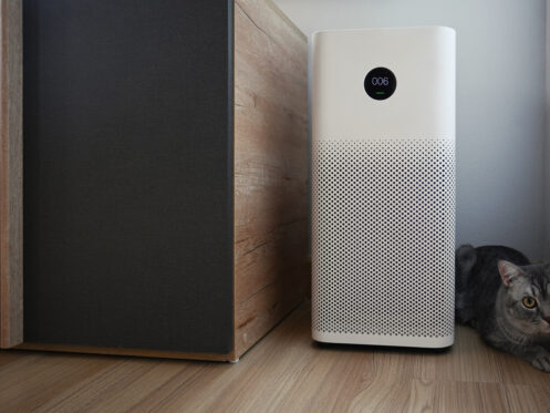 Air Purifiers and Energy-Efficiency: Are They Worth the Investment