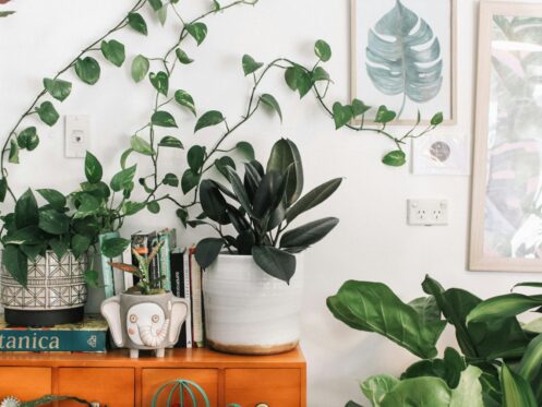 Air Purifiers and Energy-Efficiency: Are They Worth the Investment